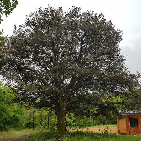 Gites Du Chene Vert Montignac-Lascaux Esterno foto