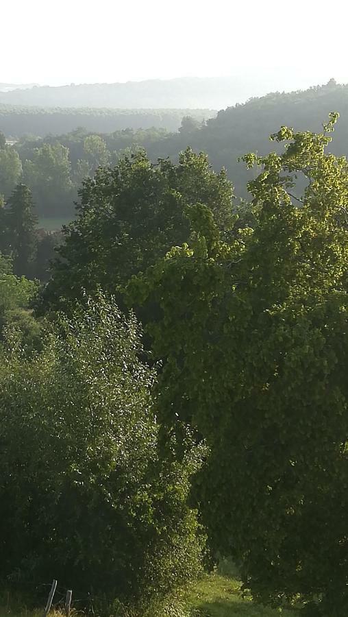 Gites Du Chene Vert Montignac-Lascaux Esterno foto