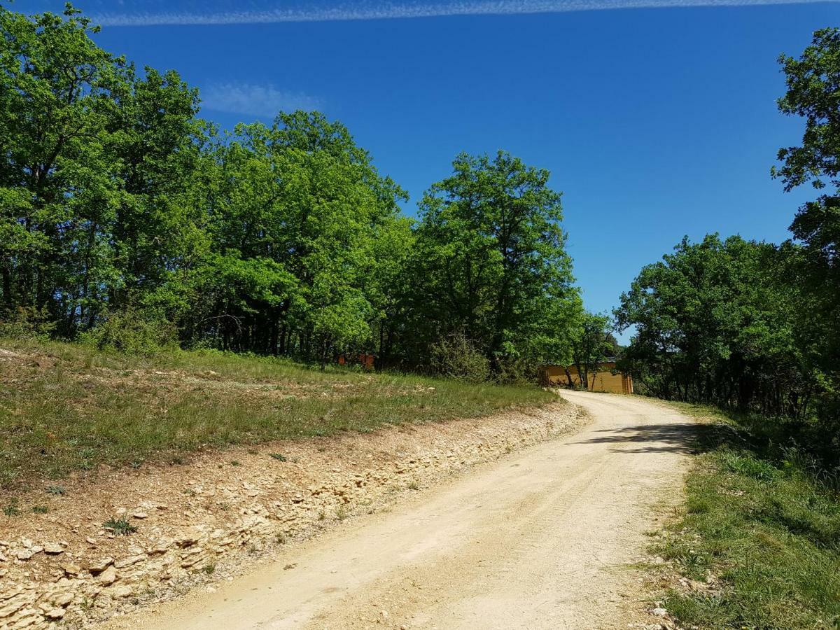 Gites Du Chene Vert Montignac-Lascaux Esterno foto