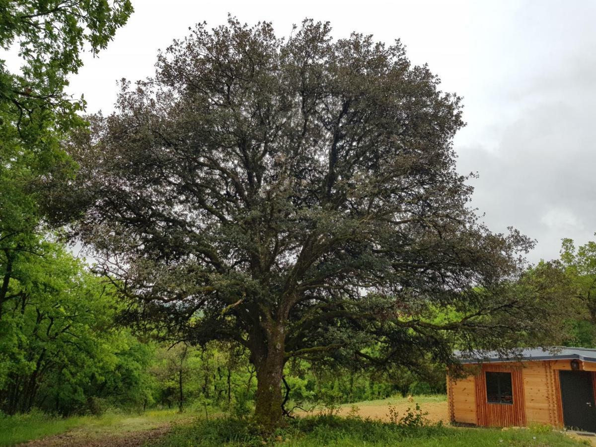 Gites Du Chene Vert Montignac-Lascaux Esterno foto