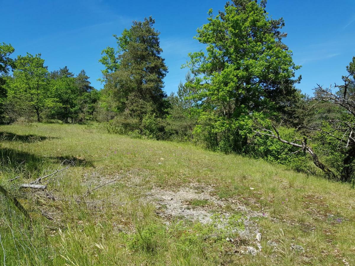 Gites Du Chene Vert Montignac-Lascaux Esterno foto